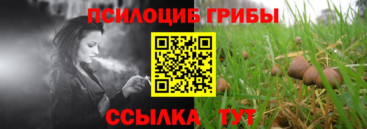 Лосино-Петровский  Галлюциногенные грибы ЛСД  Вход с VPN  Галлюциногенные грибы мухоморы 